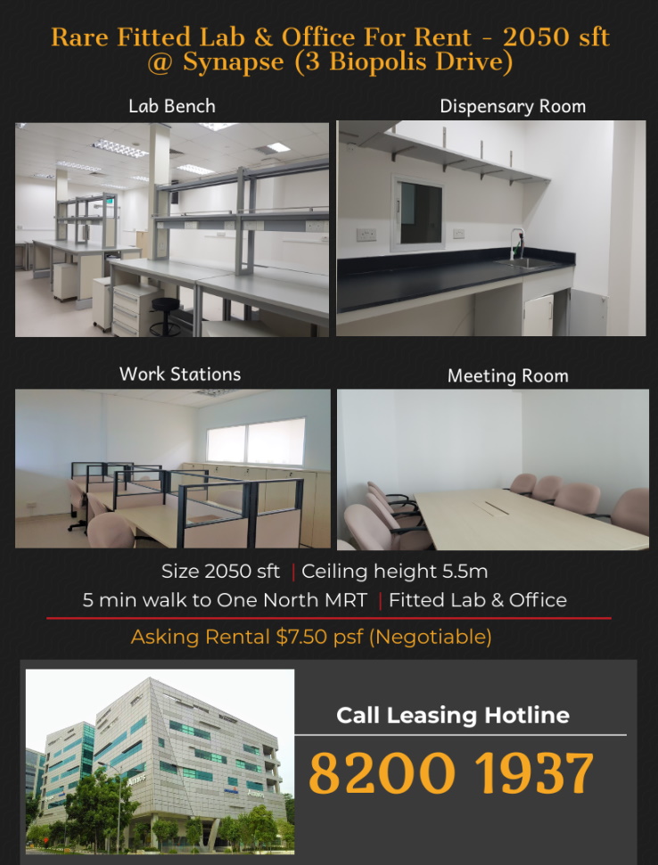Fitted Lab For Rent at One North